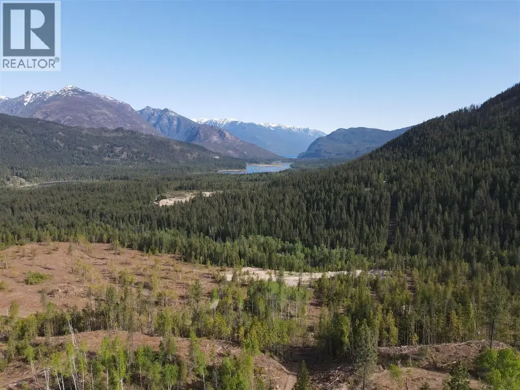 7928 Lemon Creek Road, Slocan